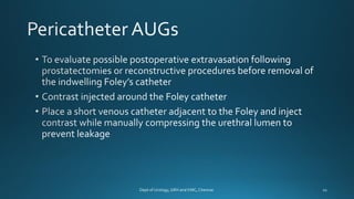 ANTEGRADE URETHROGRAM | PDF