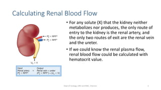 Calculating Renal Blood Flow
• For any solute (X) that the kidney neither
metabolizes nor produces, the only route of
entry to the kidney is the renal artery, and
the only two routes of exit are the renal vein
and the ureter.
• If we could know the renal plasma flow,
renal blood flow could be calculated with
hematocrit value.
5
Dept of Urology, GRH and KMC, Chennai.
 