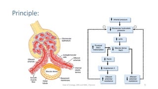 Principle:
72
Dept of Urology, GRH and KMC, Chennai.
 