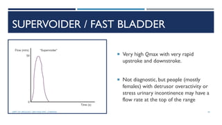 Fast Bladder URODYNAMICS | PDF