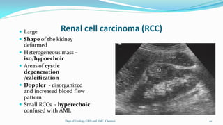 Small Rcc Usg ULTRASOUND IN UROLOGY | PDF