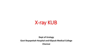 X-ray KUB
Dept of Urology
Govt Royapettah Hospital and Kilpauk Medical College
Chennai
 
