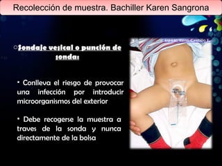 Recolección de muestra. Bachiller Karen Sangrona Sondaje vesical o punción de sonda: Conlleva el riesgo de provocar una infección por introducir microorganismos del exterior Debe recogerse la muestra a traves de la sonda y nunca directamente de la bolsa 