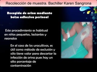 Recolección de muestra. Bachiller Karen Sangrona Recogida de orina mediante bolsa adhesiva perineal Este procedimiento es habitual en niños pequeños, lactantes y neonatos En el caso de los urocultivos, es útil como método de exclusión y sólo tiene valor para descartar la infección de orina pues hay un alto porcentaje de contaminación 