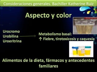 Consideraciones generales. Bachiller Katherine Ruiz 