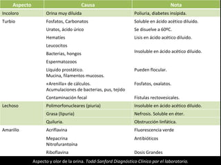 Aspecto y olor de la orina.  Todd-Sanford Diagnóstico Clínico por el laboratorio. Aspecto Causa Nota Incoloro Orina muy diluida Poliuria, diabetes insípida. Turbio Fosfatos, Carbonatos Soluble en ácido acético diluido. Uratos, ácido úrico Se disuelve a 60ºC. Hematíes Lisis en ácido acético diluido. Leucocitos Insoluble en ácido acético diluido. Bacterias, hongos Espermatozoos Líquido prostático. Mucina, filamentos mucosos. Pueden flocular. «Arenilla» de cálculos. Acumulaciones de bacterias, pus, tejido Fosfatos, oxalatos. Contaminación fecal Fístulas rectovesicales. Lechoso Polimorfonucleares (piuria) Insoluble en ácido acético diluido. Grasa (lipuria) Nefrosis. Soluble en éter. Quiluria. Obstrucción linfática. Amarillo Acriflavina Fluorescencia verde Mepacrina Nitrofurantoína Antibióticos Riboflavina Dosis Grandes 