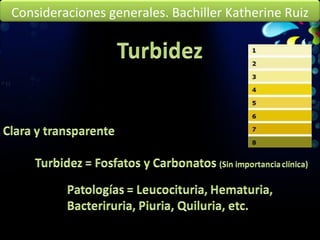 Consideraciones generales. Bachiller Katherine Ruiz 