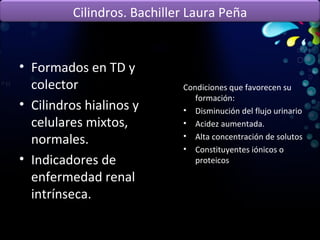 Formados en TD y colector  Cilindros hialinos y celulares mixtos, normales. Indicadores de enfermedad renal intrínseca. Condiciones que favorecen su formación: Disminución del flujo urinario Acidez aumentada. Alta concentración de solutos Constituyentes iónicos o  proteicos Cilindros. Bachiller Laura Peña 