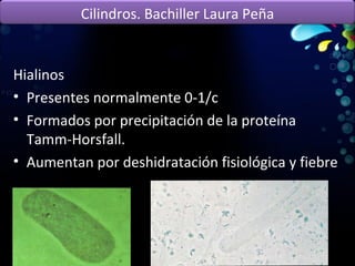 Hialinos Presentes normalmente 0-1/c Formados por precipitación de la proteína Tamm-Horsfall. Aumentan por deshidratación fisiológica y fiebre  Cilindros. Bachiller Laura Peña 