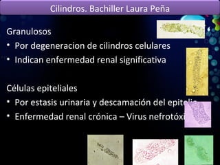Granulosos Por degeneracion de cilindros celulares Indican enfermedad renal significativa Células epiteliales Por estasis urinaria y descamación del epitelio.  Enfermedad renal crónica – Virus nefrotóxicos Cilindros. Bachiller Laura Peña 