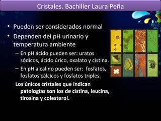 Pueden ser considerados normal Dependen del pH urinario y temperatura ambiente En pH ácido pueden ser: uratos sódicos, ácido úrico, oxalato y cistina. En pH alcalino pueden ser:  fosfatos, fosfatos cálcicos y fosfatos triples. Los únicos cristales que indican patologías son los de cistina, leucina, tirosina y colesterol. Cristales. Bachiller Laura Peña 