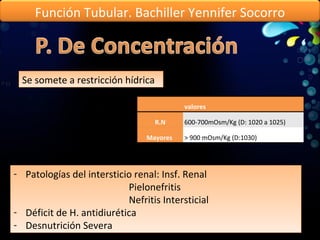 Se somete a restricción hídrica Patologías del intersticio renal: Insf. Renal   Pielonefritis   Nefritis Intersticial Déficit de H. antidiurética Desnutrición Severa Función Tubular. Bachiller Yennifer Socorro valores R.N 600-700mOsm/Kg (D: 1020 a 1025) Mayores  > 900 mOsm/Kg (D:1030) 