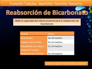 Mide la capacidad del túbulo proximal para la reabsorción de bicarbonato Función Tubular. Bachiller Yennifer Socorro Paciente  Valores RN (0-28 dias) 18 a 20 meq/litro Lacante (1 mes a 2 años) 20 a 22 meq/litro  Prescolares(2 a 6,11 años) y escolares (7-14 años) 22 a 24 meq/litro Adolescente (10 a 19 años) 24 a 26 meq/litro  acidosis tubular renal de tipo proximal.  