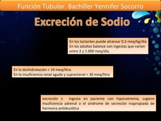 En los lactantes puede alcanzar 0,3 meq/kg/día  En los adultos balance con ingestas que varían entre 2 y 1.000 meq/día.  En la deshidratación < 10 meq/litro En la insuficiencia renal aguda y suprarrenal > 30 meq/litro excreción ≥  ingesta en paciente con hiponatremia, sugiere insuficiencia adrenal o el síndrome de secreción inapropiada de hormona antidiurética Función Tubular. Bachiller Yennifer Socorro 