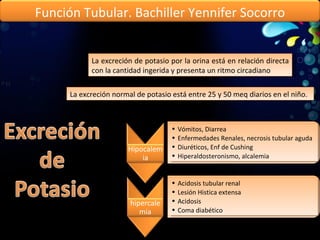 La excreción de potasio por la orina está en relación directa con la cantidad ingerida y presenta un ritmo circadiano  La excreción normal de potasio está entre 25 y 50 meq diarios en el niño. Función Tubular. Bachiller Yennifer Socorro Hipocalemia Vómitos, Diarrea Enfermedades Renales, necrosis tubular aguda Diuréticos, Enf de Cushing Hiperaldosteronismo, alcalemia hipercalemia Acidosis tubular renal Lesión Histica extensa Acidosis Coma diabético 