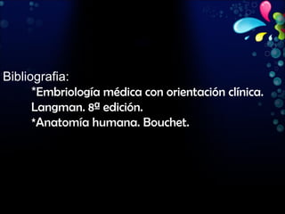 Bibliografia: * Embriología médica con orientación clínica.  Langman. 8ª edición. *Anatomía humana. Bouchet. 