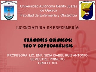 Universidad Autónoma Benito Juárez
                   de Oaxaca
       Facultad de Enfermería y Obstetricia


     Licenciatura en Enfermería

         EXÁMENES QUÍMICOS:
         EGO Y COPROANÁLISIS
PROFESORA: LIC. ENF. NIDIA ISABEL RUIZ ANTONIO
            SEMESTRE: PRIMERO
                 GRUPO: 103
 
