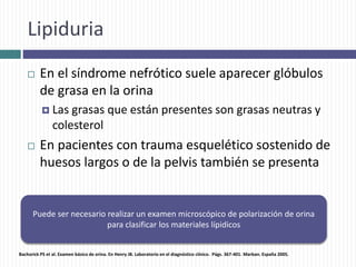 Lipiduria
 En el síndrome nefrótico suele aparecer glóbulos
de grasa en la orina
 Las grasas que están presentes son grasas neutras y
colesterol
 En pacientes con trauma esquelético sostenido de
huesos largos o de la pelvis también se presenta
Puede ser necesario realizar un examen microscópico de polarización de orina
para clasificar los materiales lípidicos
Bachorick PS et al. Examen básico de orina. En Henry JB. Laboratorio en el diagnóstico clínico. Págs. 367-401. Marban. España 2005.
 