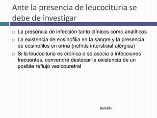 Ante la presencia de leucocituria se
debe de investigar
 La presencia de infección tanto clínicos como analíticos
 La existencia de eosinofilia en la sangre y la presencia
de eosinófilos en orina (nefritis intersticial alérgica)
 Si la leucocituria es crónica o se asocia a infecciones
frecuentes, convendrá destacar la existencia de un
posible reflujo vesicouretral
Balcells
 