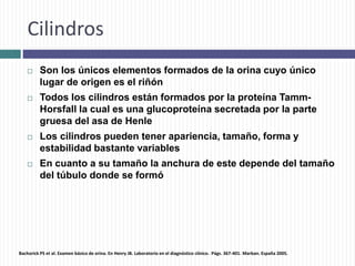 Cilindros
 Son los únicos elementos formados de la orina cuyo único
lugar de origen es el riñón
 Todos los cilindros están formados por la proteína Tamm-
Horsfall la cual es una glucoproteína secretada por la parte
gruesa del asa de Henle
 Los cilindros pueden tener apariencia, tamaño, forma y
estabilidad bastante variables
 En cuanto a su tamaño la anchura de este depende del tamaño
del túbulo donde se formó
Bachorick PS et al. Examen básico de orina. En Henry JB. Laboratorio en el diagnóstico clínico. Págs. 367-401. Marban. España 2005.
 