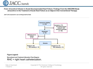 Date of download:
11/6/2013
Copyright © The American College of Cardiology.
All rights reserved.
From: Urocortin-2 Infusion in Acute Decompensated Heart Failure: Findings From the UNICORN Study
(Urocortin-2 in the Treatment of Acute Heart Failure as an Adjunct Over Conventional Therapy)
JCHF. 2013;1(5):433-441. doi:10.1016/j.jchf.2013.07.003
Recruitment and Treatment Allocation Flow Diagram
RHC = right heart catheterization.
Figure Legend:
 