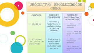 UROCULTIVO – RECOLECCIÓN DE
ORINA
CANTIDAD
◎ 10 a 20 ml
◎ 50 a 100ml
Con técnica del
chorro medio
MEDIO DE
TRANSPORTE
Neonatos y
lactantes se lo
realiza en bolsa
recolectora
estériles
Pedriaticos y
adulto frasco
esteril bioca
ancha con tapa
de rosca
TIEMPO DE
CONSERVACIÓN Y
TEMPERATURA
◎ 1 hora con
temperatura
ambiente
◎ 2 a 12 horas en
termo con hielo 4 a
8 °C
◎ 1 hora con
temperatura
ambiente
◎ 2 a 12 horas en
termo con hielo 4 a
8 °C
 