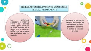 PREPARACIÓN DEL PACIENTE CON SONDA
VESICAL PERMANENTE
La enfermera
procederá a pinzar la
sonda 30 minutos
antes para acumular
la orina reciente en la
vejiga con la finalidad
de recoger la muestra
correctamente para un
análisis.
No forzar el retorno de
la orina a la vejiga, no
desconectar la sonda
de la bolsa colectora
ni extraer la orina de
la bolsa.
 