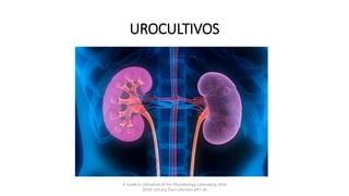 UROCULTIVOS
A Guide to Utilization of the Microbiology Laboratory, IDSA
2018: Urinary Tract infection p47-58
 