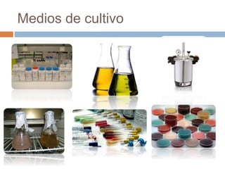 Medios de cultivo
 