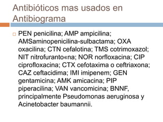 Antibióticos mas usados en
Antibiograma
 PEN penicilina; AMP ampicilina;
AMSaminopenicilina-sulbactama; OXA
oxacilina; CTN cefalotina; TMS cotrimoxazol;
NIT nitrofuranto«na; NOR norfloxacina; CIP
ciprofloxacina; CTX cefotaxima o ceftriaxona;
CAZ ceftacidima; IMI imipenem; GEN
gentamicina; AMK amicacina; PIP
piperacilina; VAN vancomicina; BNNF,
principalmente Pseudomonas aeruginosa y
Acinetobacter baumannii.
 