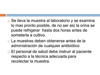  Se lleva la muestra al laboratorio y se examina
lo mas pronto posible, de no ser así la orina se
puede refrigerar hasta dos horas antes de
someterla a cultivo.
 La muestras deben obtenerse antes de la
administración de cualquier antibiótico
 El personal de salud debe instruir al paciente
respecto a la técnica adecuada para
recolectar la muestra.
 