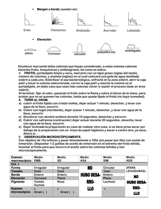      Margen o borde: pueden ser;




        Enter                   Filamentos       Ondulado            Aserrado          Lobulado
        o                       o
                     Elevación:




    Enumerar marcando la/las colonias que hayas considerado, a estas mismas colonias
    hacerles frotis, bioquímicas y antibiograma, tal como se indica.
    3. FROTIS, portaobjeto limpio y seco, marcarlo con un lápiz graso (siglas del medio,
    número de colonias, y analista (siglas)) en el cual colocará una gota de agua destilada
    estéril a cada uno. Esterilizar el asa bacteriológica, enfriarla en la zona estéril, abrir la caja
    petri y tocar la colonia seleccionada, cerrar la caja petri y mezcla la colonia en el
    portaobjeto, en dado caso que sean más colonias volver a repetir el proceso (todo en área
    estéril).
    Al terminar, fijar al calor, pasando el frotis sobre la flama y sobre el dorso de la mano, para
    probar que no se quemen las colonias, hasta que quede fijado el frotis (no haya humedad).
    4. TEÑIR AL GRAM,
    a) cubrir el frotis fijado con cristal violeta, dejar actuar 1 minuto, desechar, y lavar con
        agua de la llave, escurrir.
    b) Cubrir con lugol (mordiente), dejar actuar 1 minuto, desechar, y lavar con agua de la
        llave, escurrir.
    c) Decolorar con alcohol acetona durante 10 segundos, desechar y escurrir.
    d) Cubrir con safranina (contracolor) dejar actuar durante 20 segundos, desecha, lavar
        con agua de la llave, escurrir.
    e) Dejar inclinada la preparación en caso de realizar otra cosa, si se tiene prisa secar por
        debajo de la preparación con un trozo de papel higiénico y secar a contra aire, ya seca,
        Ahora si…
    5. OBSERVACIÓN MICROSCÓPICAMENTE,
    Con objetivo de 10x enfocar y pasar directamente a 100x (sin pasar por 40x) con aceite de
    inmersión. (Depositar 1-2 gotitas de aceite de inmersión en el extremo del frotis teñido,
    levantar el frotis para que escurra el aceite sobre las colonias teñidas y leer
    microscópicamente.

Examen              Medio           Medio           Medio           Medio             Medio
macroscópico        EMB             SS              ASA             SIM               ADS
Col. 1
Forma               Irregular       Irregular                       Circular          (PARA
Tamaño              5mm             2mm                             1mm               LEVADURAS)
Borde               Entero          Entero                          Entero
Elevación           Convexa         Plana                           Plana
Pigmento            Violeta         Rosa                            Lechoso
                    Guinda
Examen
microscópico        Gram ( )          Gram ( )
 