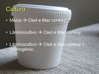 Cultura   Meios    Cled e Mac conkey; Lâminocultivo    Cled e Mac conkey; Lâminocultivo    Cled e Mac conkey + cromogênio; 