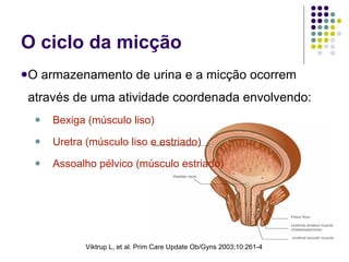 O ciclo da micção O armazenamento de urina e a micção ocorrem  através de uma atividade coordenada envolvendo: Bexiga (músculo liso) Uretra (músculo liso e estriado) Assoalho pélvico (músculo estriado) Viktrup L, et al. Prim Care Update Ob/Gyns 2003;10:261-4 