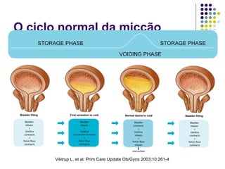 O ciclo normal da micção Viktrup L, et al. Prim Care Update Ob/Gyns 2003;10:261-4 