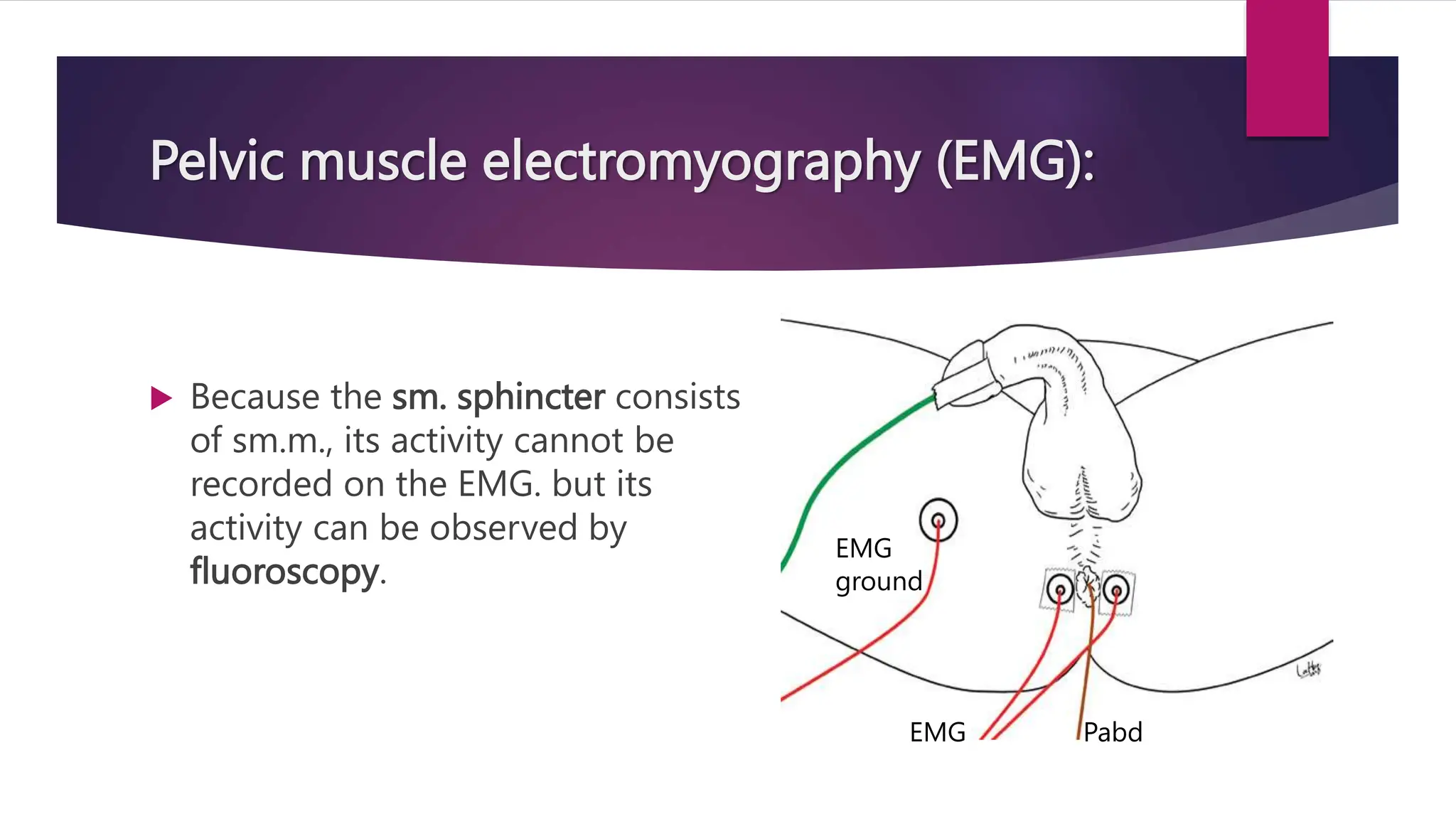 Pelvic muscle electromyography (EMG):
 Because the sm. sphincter consists
of sm.m., its activity cannot be
recorded on the EMG. but its
activity can be observed by
fluoroscopy.
Pabd
EMG
EMG
ground
 