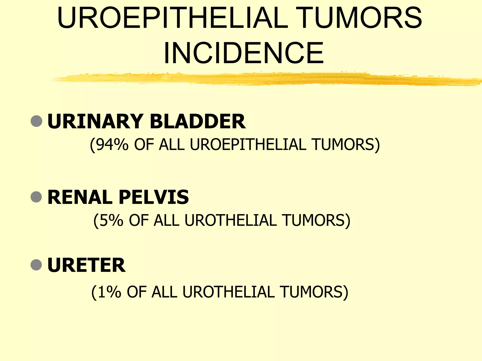 uroepithelial neoplasms.ppt