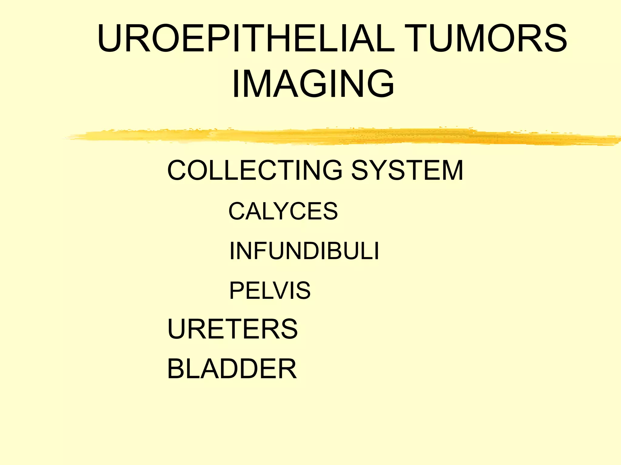 uroepithelial neoplasms.ppt