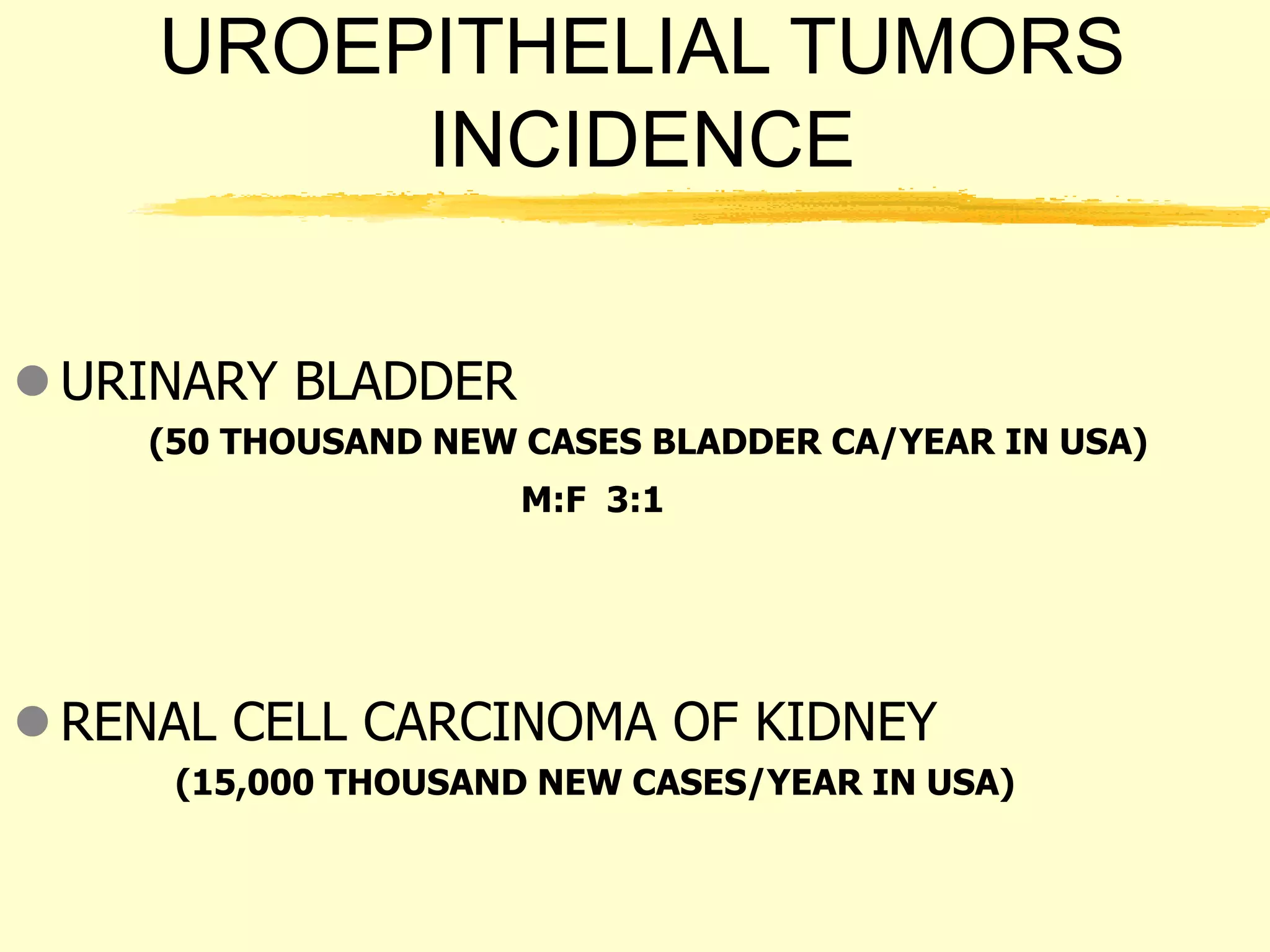 uroepithelial neoplasms.ppt