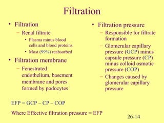 26-14
Filtration
• Filtration
– Renal filtrate
• Plasma minus blood
cells and blood proteins
• Most (99%) reabsorbed
• Filtration membrane
– Fenestrated
endothelium, basement
membrane and pores
formed by podocytes
• Filtration pressure
– Responsible for filtrate
formation
– Glomerular capillary
pressure (GCP) minus
capsule pressure (CP)
minus colloid osmotic
pressure (COP)
– Changes caused by
glomerular capillary
pressure
EFP = GCP – CP – COP
Where Effective filtration pressure = EFP
 