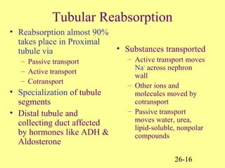 26-16
Tubular Reabsorption
• Reabsorption almost 90%
takes place in Proximal
tubule via
– Passive transport
– Active transport
– Cotransport
• Specialization of tubule
segments
• Distal tubule and
collecting duct affected
by hormones like ADH &
Aldosterone
• Substances transported
– Active transport moves
Na+
across nephron
wall
– Other ions and
molecules moved by
cotransport
– Passive transport
moves water, urea,
lipid-soluble, nonpolar
compounds
 