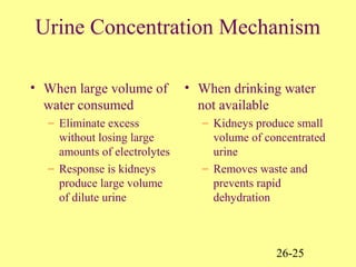 26-25
Urine Concentration Mechanism
• When large volume of
water consumed
– Eliminate excess
without losing large
amounts of electrolytes
– Response is kidneys
produce large volume
of dilute urine
• When drinking water
not available
– Kidneys produce small
volume of concentrated
urine
– Removes waste and
prevents rapid
dehydration
 