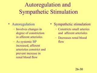 26-30
Autoregulation and
Sympathetic Stimulation
• Autoregulation
– Involves changes in
degree of constriction
in afferent arterioles
– As systemic BP
increased, afferent
arterioles constrict and
prevent increase in
renal blood flow
• Sympathetic stimulation
– Constricts small arteries
and afferent arterioles
– Decreases renal blood
flow
 