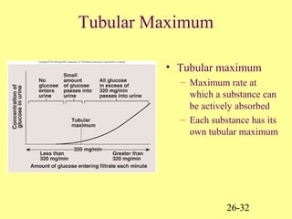 26-32
Tubular Maximum
• Tubular maximum
– Maximum rate at
which a substance can
be actively absorbed
– Each substance has its
own tubular maximum
 