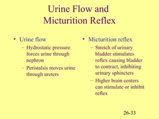 26-33
Urine Flow and
Micturition Reflex
• Urine flow
– Hydrostatic pressure
forces urine through
nephron
– Peristalsis moves urine
through ureters
• Micturition reflex
– Stretch of urinary
bladder stimulates
reflex causing bladder
to contract, inhibiting
urinary sphincters
– Higher brain centers
can stimulate or inhibit
reflex
 