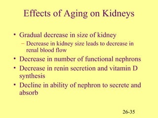 26-35
Effects of Aging on Kidneys
• Gradual decrease in size of kidney
– Decrease in kidney size leads to decrease in
renal blood flow
• Decrease in number of functional nephrons
• Decrease in renin secretion and vitamin D
synthesis
• Decline in ability of nephron to secrete and
absorb
 