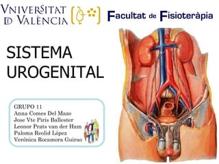 SISTEMA UROGENITAL GRUPO 11 Anna Comes Del Mazo Jose Vte Piris Ballester Leonor Prats van der Ham  Paloma Reolid López Verónica Rocamora Guirao 