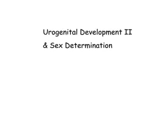 Urogenital Development II
& Sex Determination
 