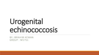Urogenital
echinococcosis
BY: IBRAHIM KEWAN
GROUP : M1751
 