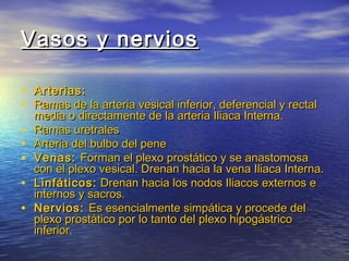 Vasos y nerviosVasos y nervios
• Arterias:Arterias:
• Ramas de la arteria vesical inferior, deferencial y rectalRamas de la arteria vesical inferior, deferencial y rectal
media o directamente de la arteria Iliaca Interna.media o directamente de la arteria Iliaca Interna.
• Ramas uretralesRamas uretrales
• Arteria del bulbo del peneArteria del bulbo del pene
• Venas:Venas: Forman el plexo prostático y se anastomosaForman el plexo prostático y se anastomosa
con el plexo vesical. Drenan hacia la vena Iliaca Interna.con el plexo vesical. Drenan hacia la vena Iliaca Interna.
• Linfáticos:Linfáticos: Drenan hacia los nodos Iliacos externos eDrenan hacia los nodos Iliacos externos e
internos y sacros.internos y sacros.
• Nervios:Nervios: Es esencialmente simpática y procede delEs esencialmente simpática y procede del
plexo prostático por lo tanto del plexo hipogástricoplexo prostático por lo tanto del plexo hipogástrico
inferior.inferior.
 